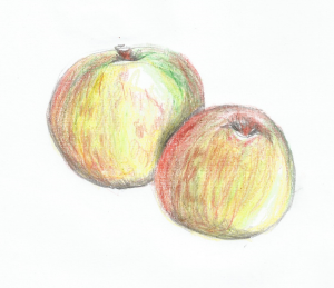 Drawing of two apples