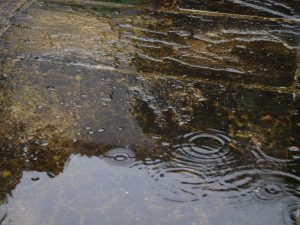 Rain on paving stones