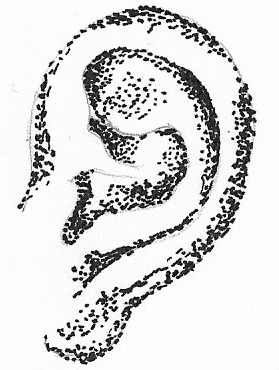 Image of an ear